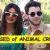 Priyanka- Nick in TROUBLE, PETA ACCUSES the Couple of 'Animal CRUELTY'