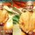 'PM Narendra Modi' release PREPONED