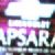 Stars shine at Apsara Awards 2010!