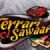 Movie Review : Ferrari ki Sawaari