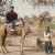 Vir Das travels across the Rajasthan village on a camel
