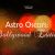 Astro Oscars: Bollywood Edition
