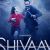 Box Office Update: Complete Collection of 'Shivaay'