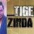 'Tiger Zinda Hai' not political, only a human story: Director