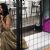 Mallika Sherawat LOCKED herself in a CAGE after her Cannes appearance