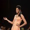 Models walk on the ramp for Agni at IIJW 2011 show day 3. .