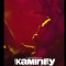 Poster of Kaminey Movie