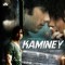 Poster of Kaminey movie
