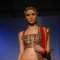 Model display the designer Nishka's collection during the first day of Lakme fashion week winter/festive 2011, in Mumbai. .