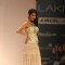 Rina Dhaka Presented An Utterly Feminine Glamorous Collection At Lakm Fashion Week Winter/Fashion 2011