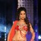 Mallika Sherawat walks the ramp for Anjalee and Arjun Kapoor at Aamby Valley City India Bridal Week 2011 Day 1 at Saharastar, Mumbai