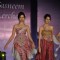 Model walks for Tasneem Merchant at World Cotton Research Conference in Renaissance, Mumbai