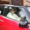 Amitabh Bachchan driving 'Mini Cooper S' gifted by son Abhishek Bachchan outside Jalsa bungalow