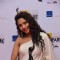 60th Idea Filmfare Awards 2012 (SOUTH)