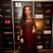 Amy Jackson at the red carpet of SAIFTA