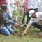 Tanisha Singh and Dayanand Sheety plant a tree