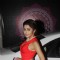 Tina Dutta poses for the media at the Music Launch of Plot 666- Restricted Area
