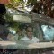 Salman Snapped at Court