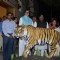 Amitabh Bachchan at Save The Tiger Campaign