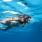 Lara Dutta swimming
