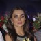 Amy Jackson at the Special Screening of Singh is Bling
