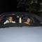 Abhishek Bachchan & Aishwarya Rai Bachchan on a Dinner Outing