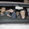 Sanjay Kapoor and others at the bash