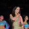 Anjana Sukhani in th new year at Sahara Start at Sahara Star