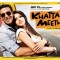 Khatta Meetha(2010) movie poster with Akshay and Trisha