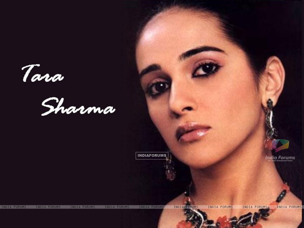Tara Sharma - Wallpaper Actress
