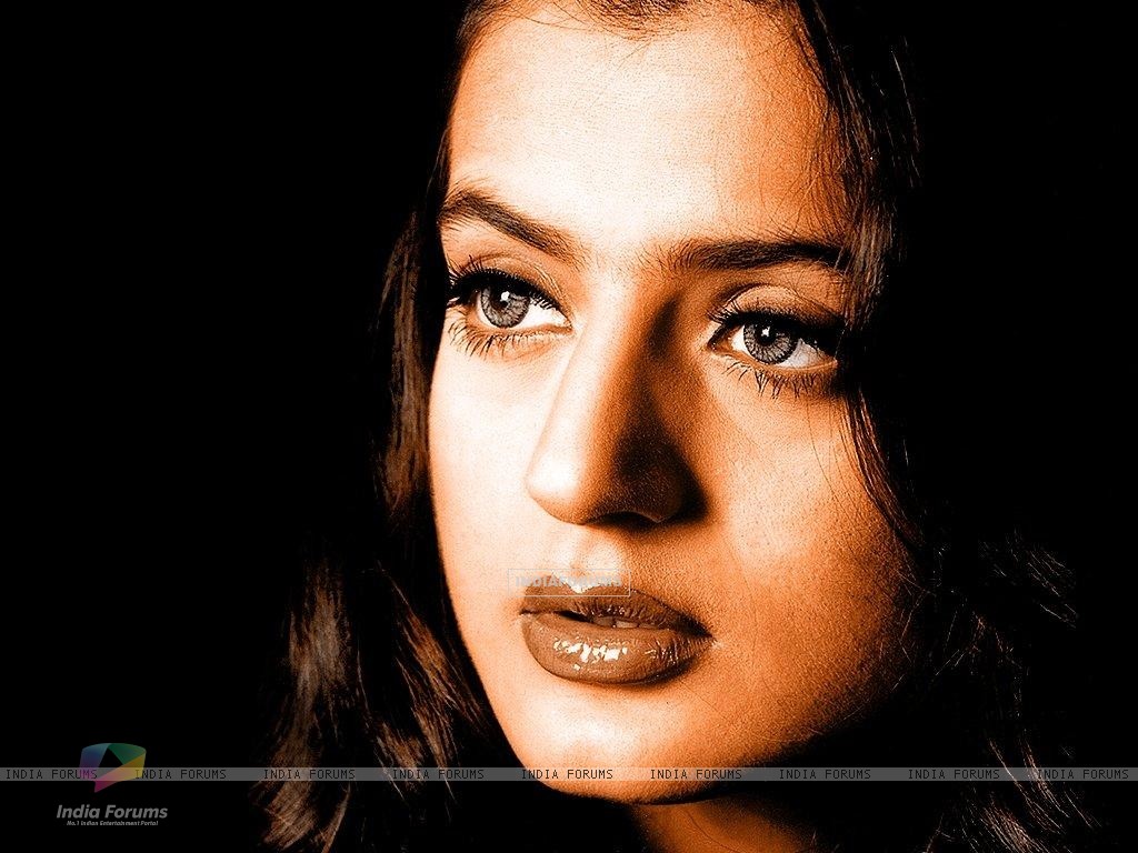 Amisha Patel - Actress Wallpapers
