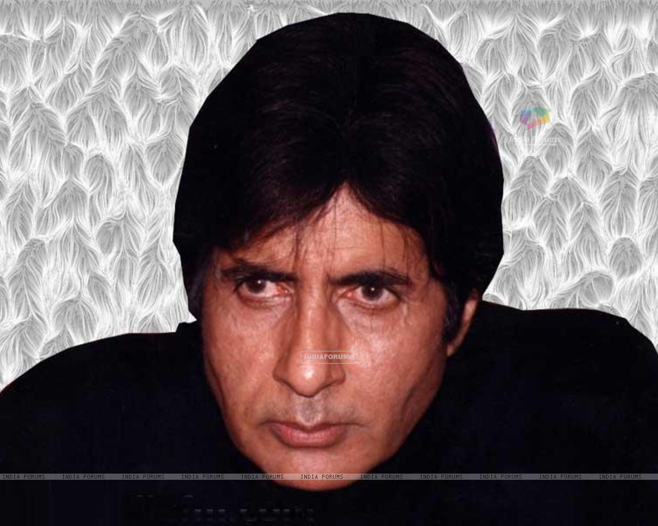 Amitabh Bachchan - Picture
