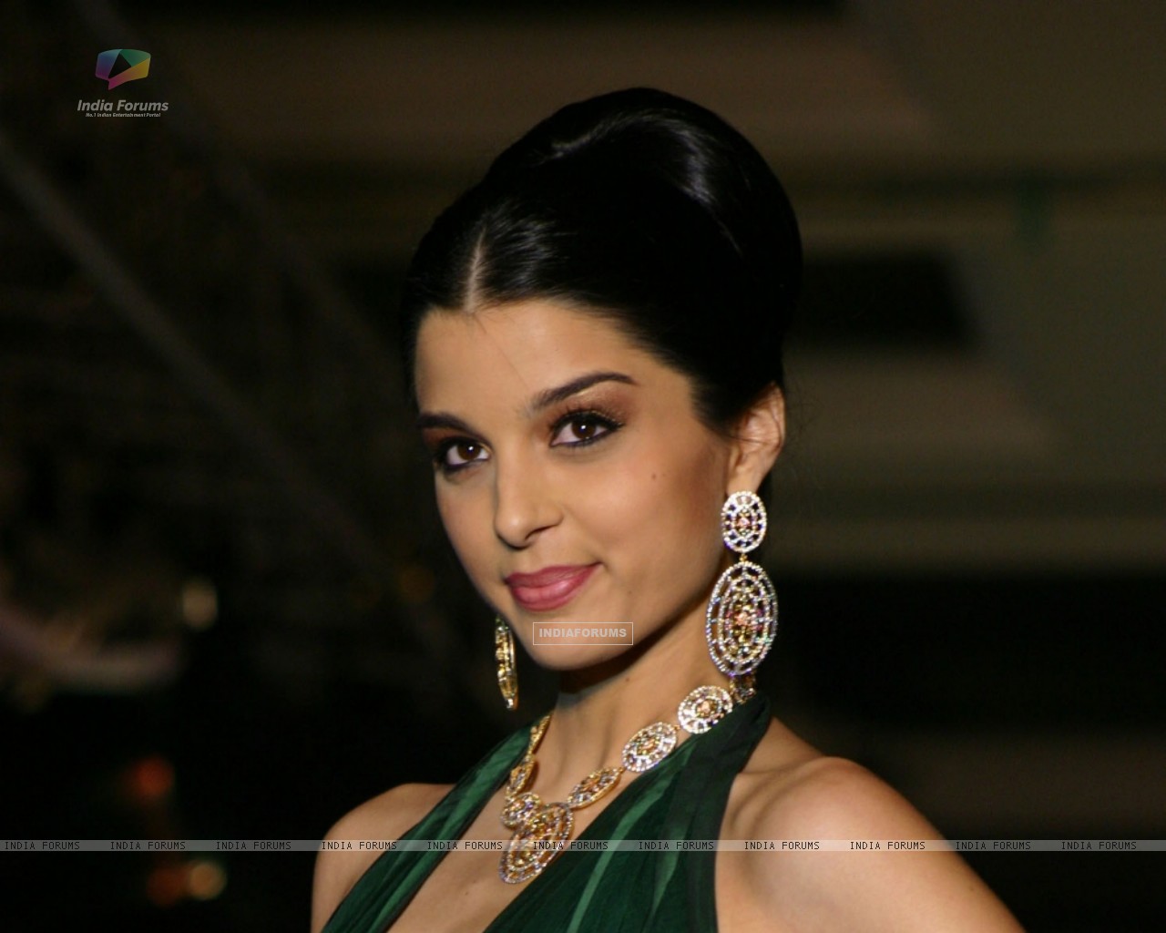 http://img.india-forums.com/wallpapers/1280x1024/80216-bollywood-actress-gissele-monterio-showcasing-h-g-jewelers-gold.jpg