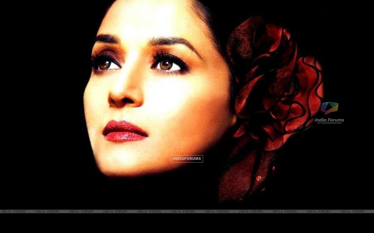 Madhuri Dixit - Wallpaper Actress