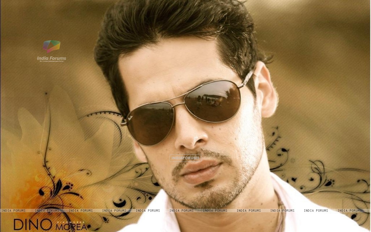 Dino Morea Hot