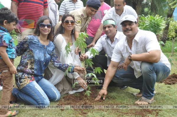 https://img.india-forums.com/images/600x0/328133-tree-plantation-drive.jpg