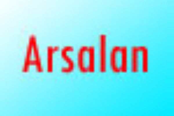 Arslan sony tv serial number